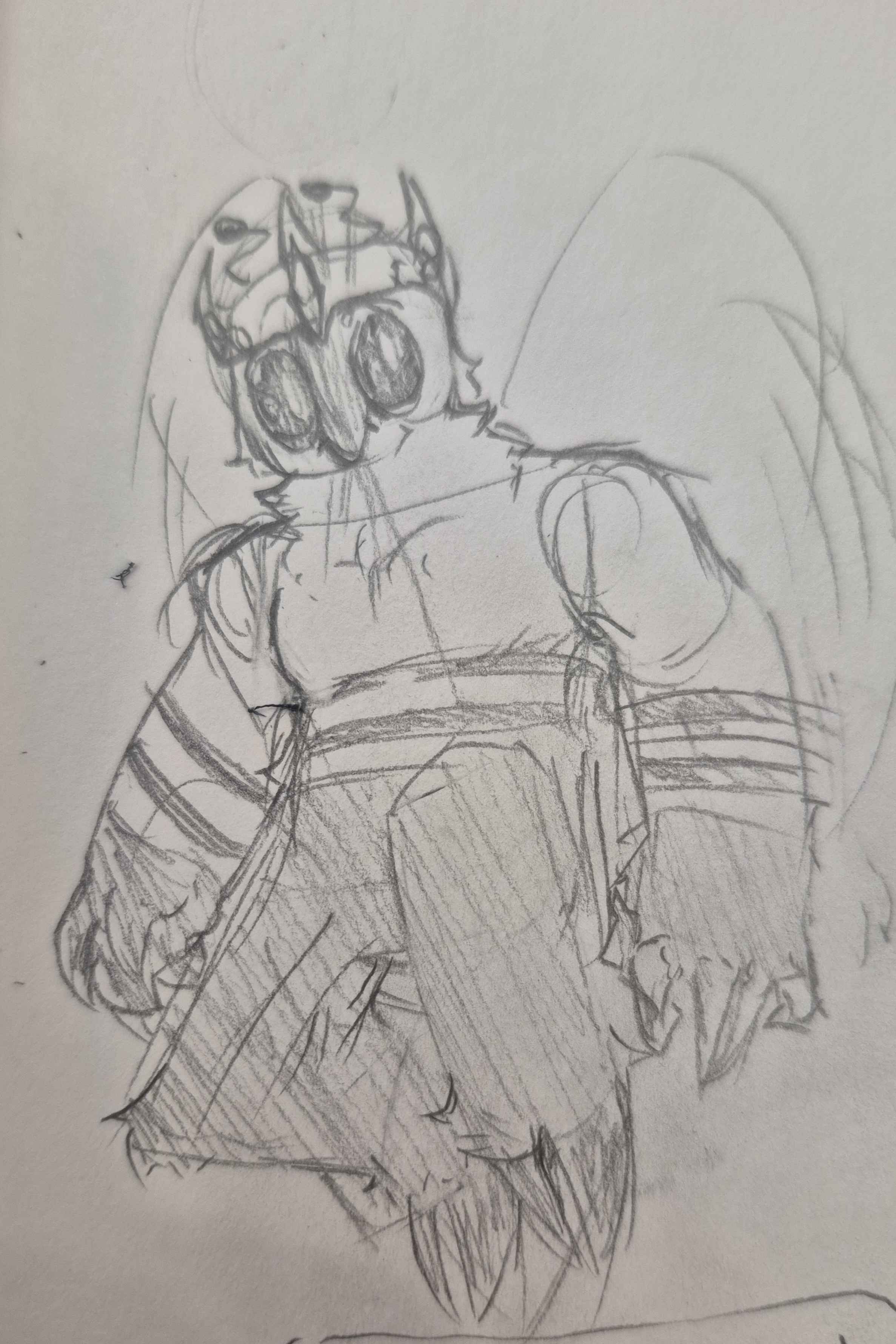 wimberly sketch 1